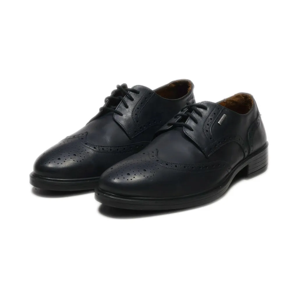 Geox Amphibiox Formal Lace Ups Leather Black Colour For Men