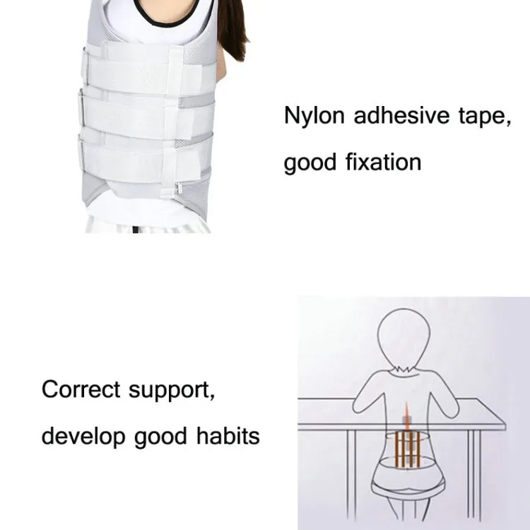 Mesh Style Thoracolumbar Fixation Belt Strap Type Protective Gear with Airbag, Specification: XL